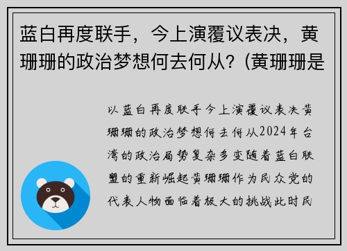 蓝白再度联手，今上演覆议表决，黄珊珊的政治梦想何去何从？(黄珊珊是谁)